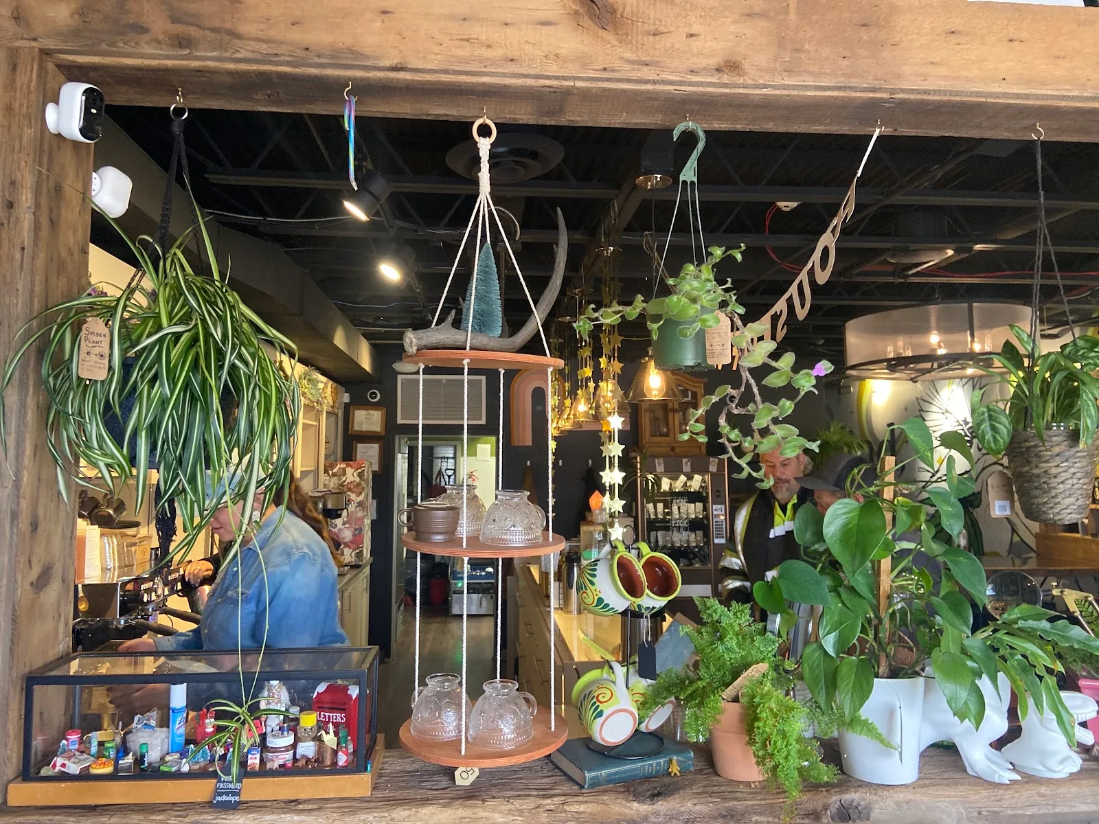 House of Vibes Coffee and Curio