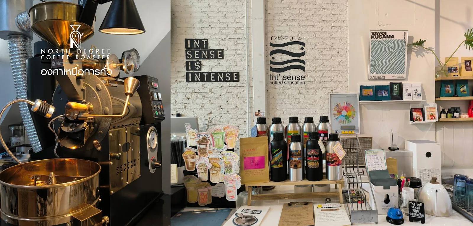 Int sense x North Degree Coffee Roaster