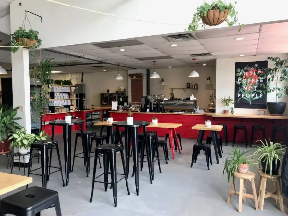 modern coffee shop interior with red counter, black bar seating, and hanging plants throughout., joe bean roasters, rochester