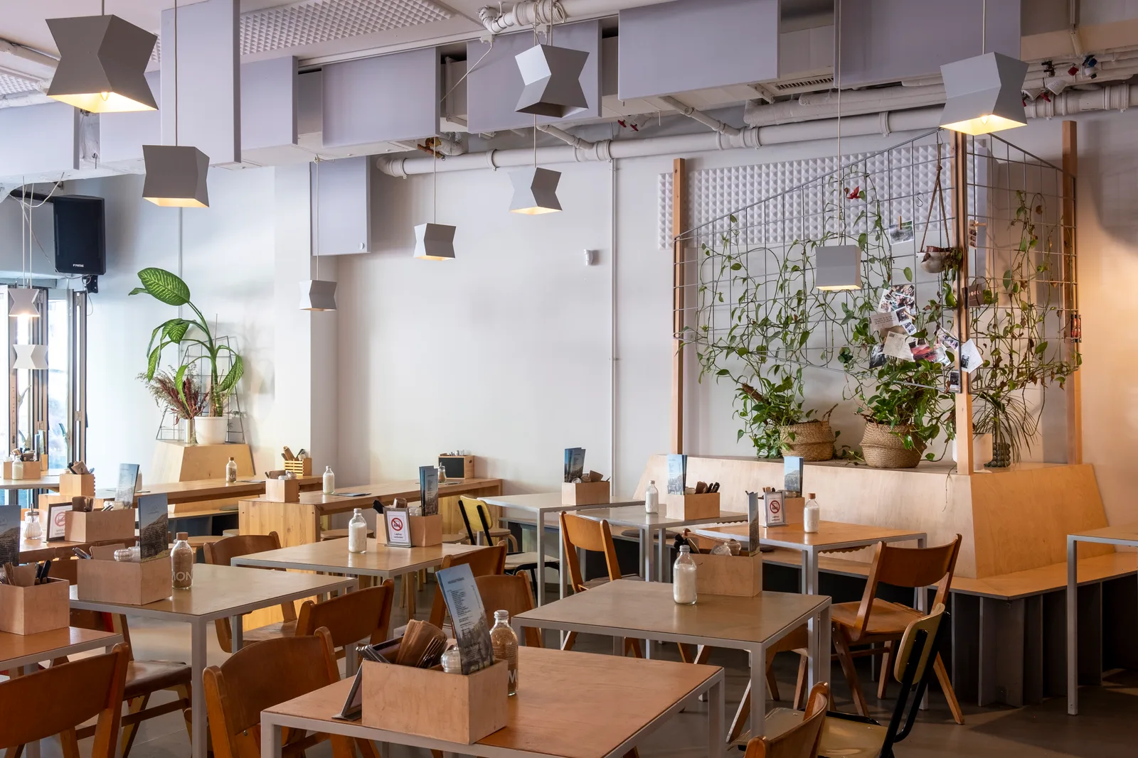 modern office space with wooden tables, chairs, pendant lights, and hanging plants., kaffeesaurus, cologne