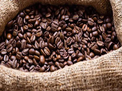Kape Catorce Coffee in New York City, specialty coffee roaster