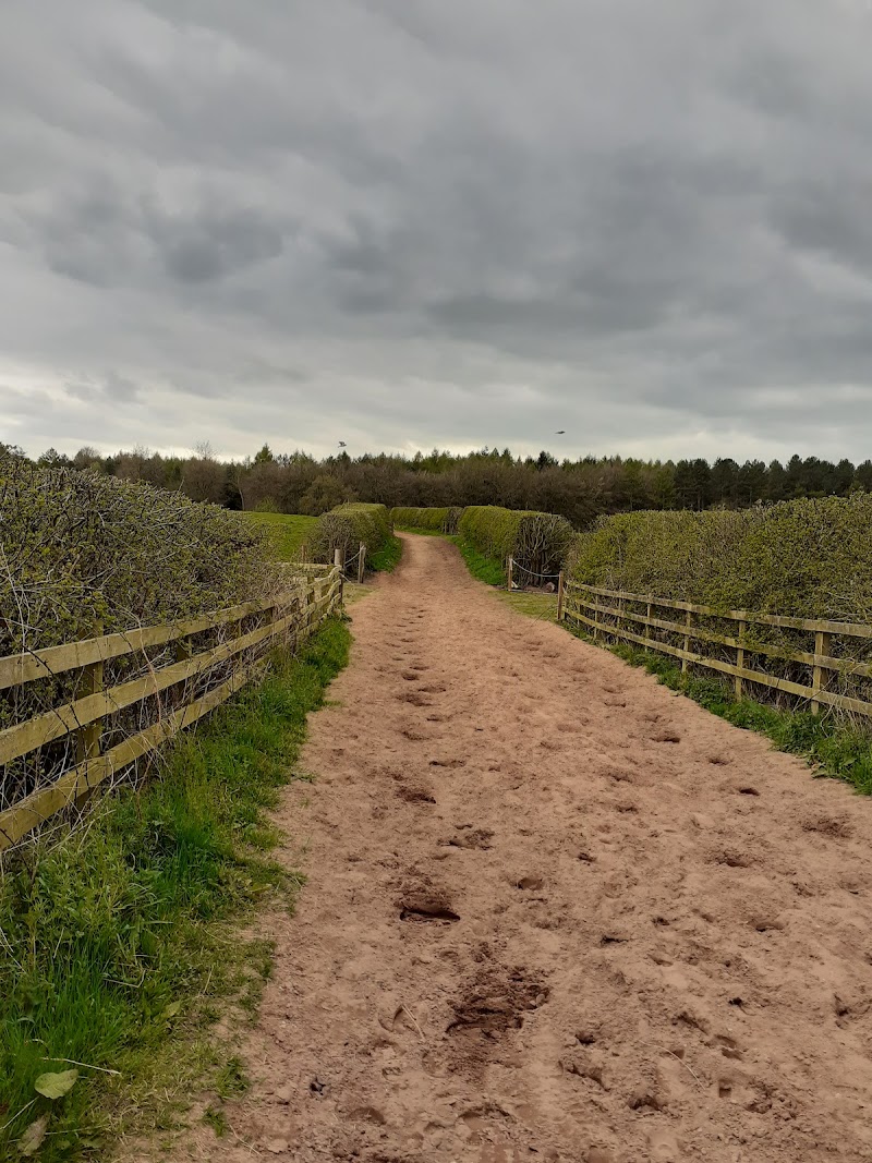 Kelsall Hill Equestrian Centre in Chester, specialty coffee cafe