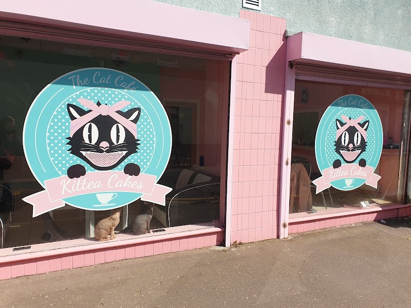Kittea Cakes
