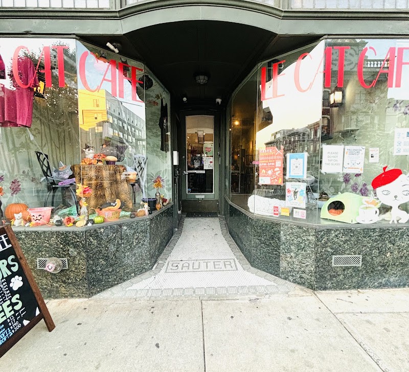 Le Cat Cafe in Philadelphia, specialty coffee cafe