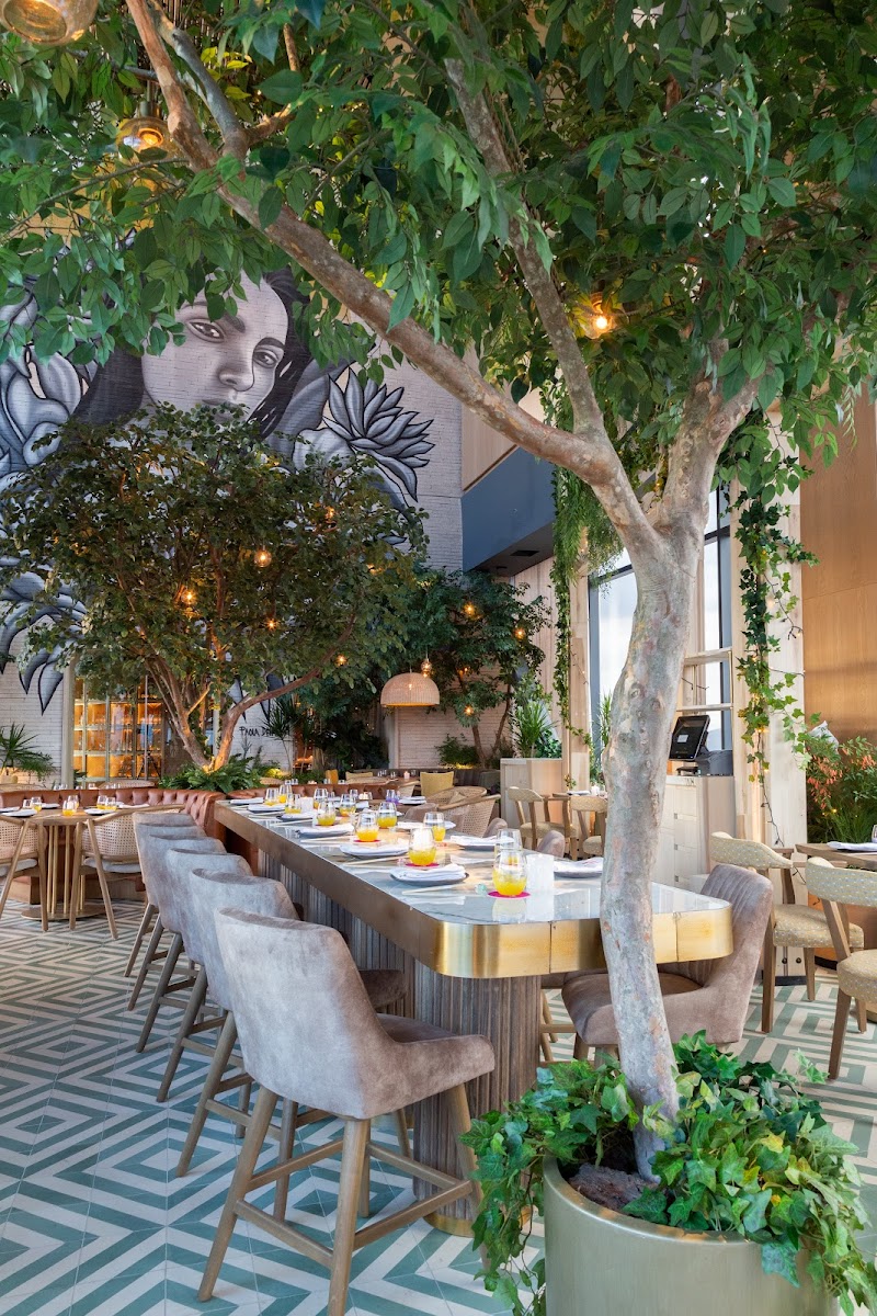 Ling Ling by Hakkasan in Mexico City — specialty coffee cafe