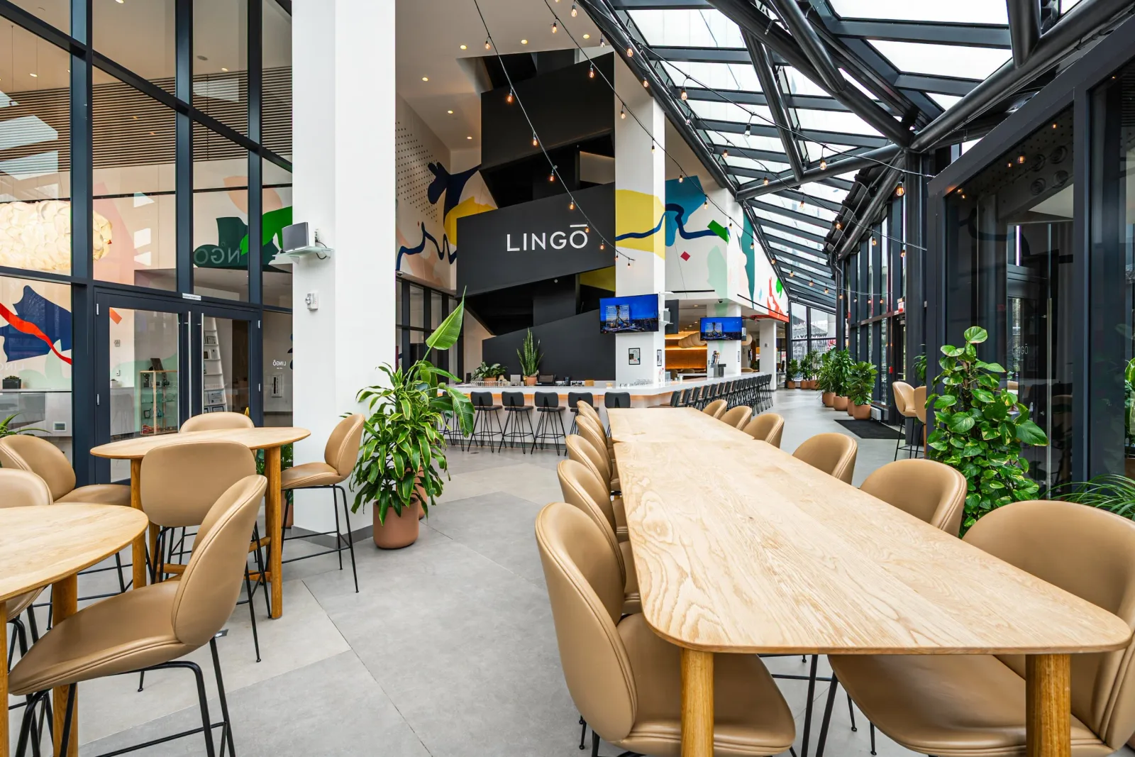 Lingo Coffee in Boston — specialty coffee roaster