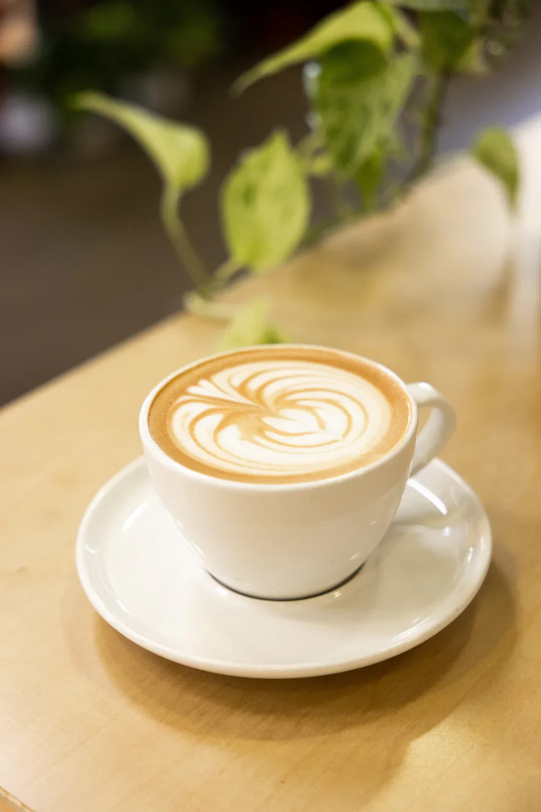 latte with intricate latte art on wooden table beside green plants., lion and lamb coffee roasters, costa mesa