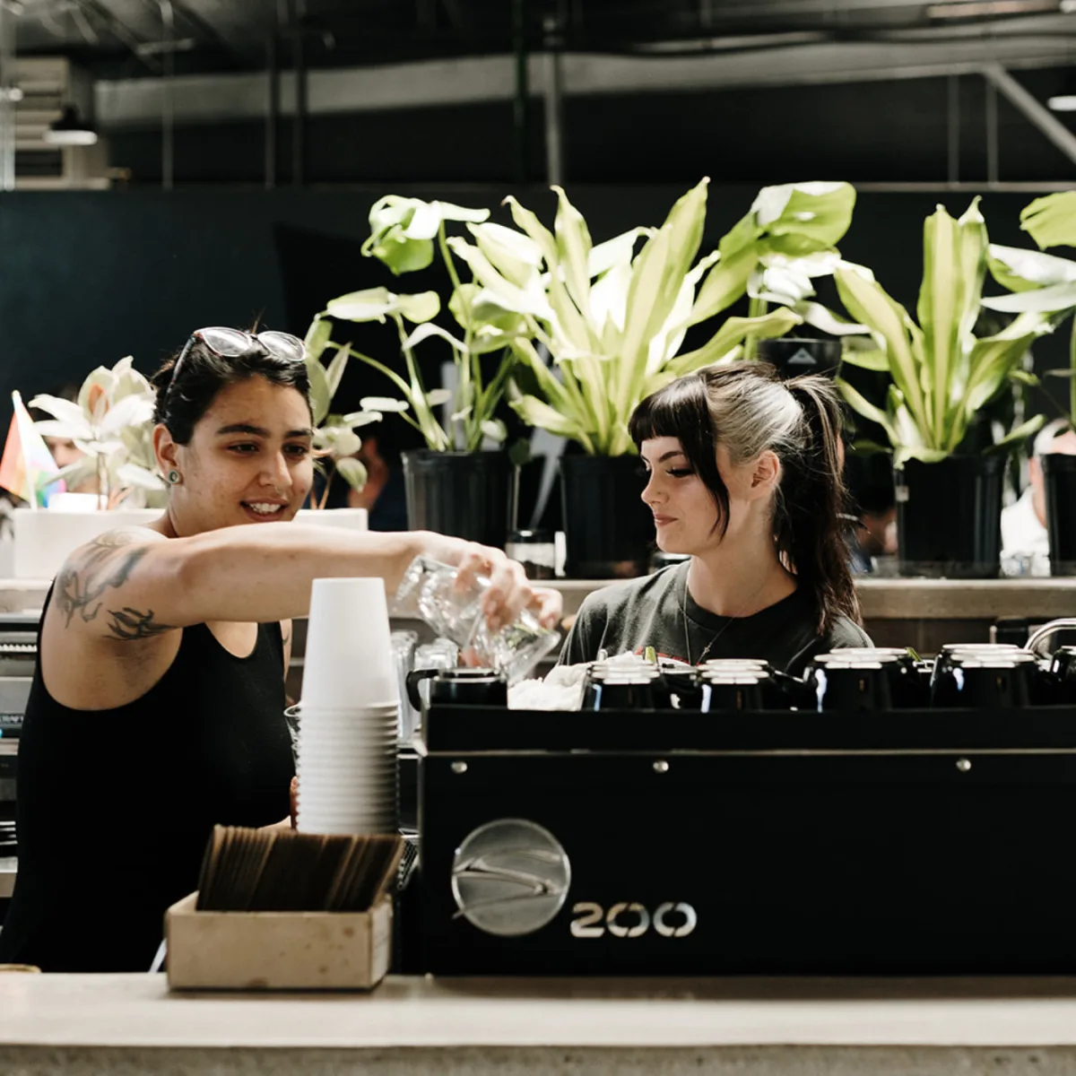 two baristas working at counter with espresso machine and white flowers behind., little bear coffee shop & wine bar- nob hill