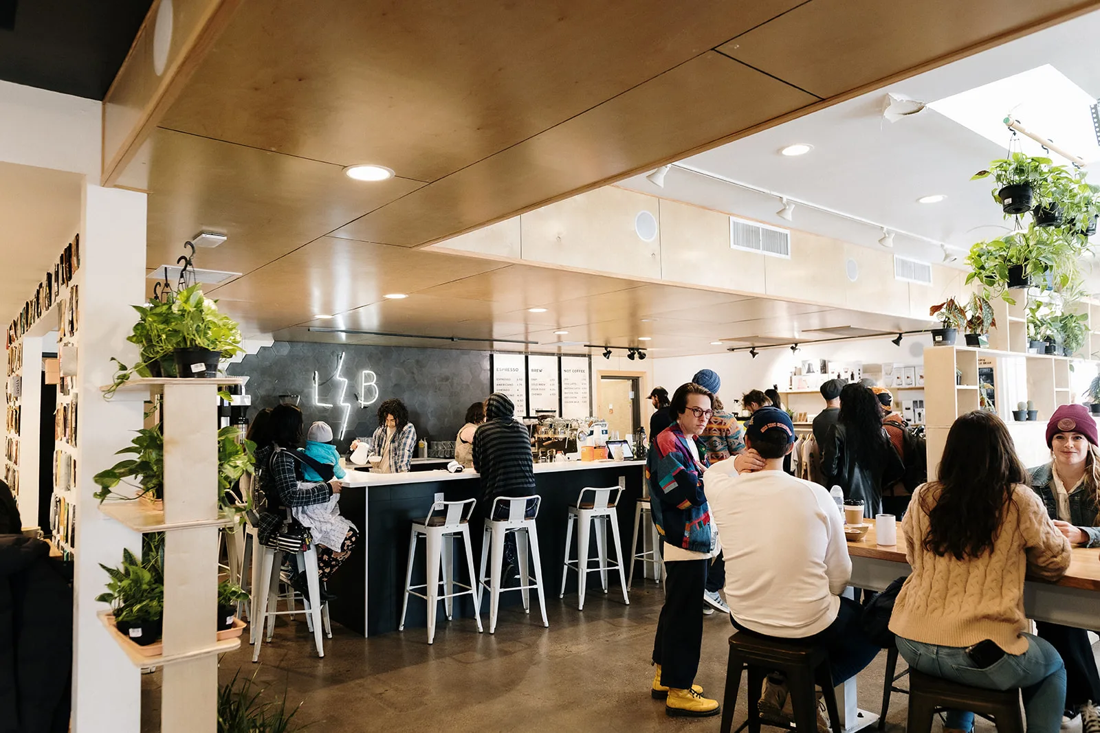 Little Bear Coffee - Uptown in Albuquerque — specialty coffee cafe