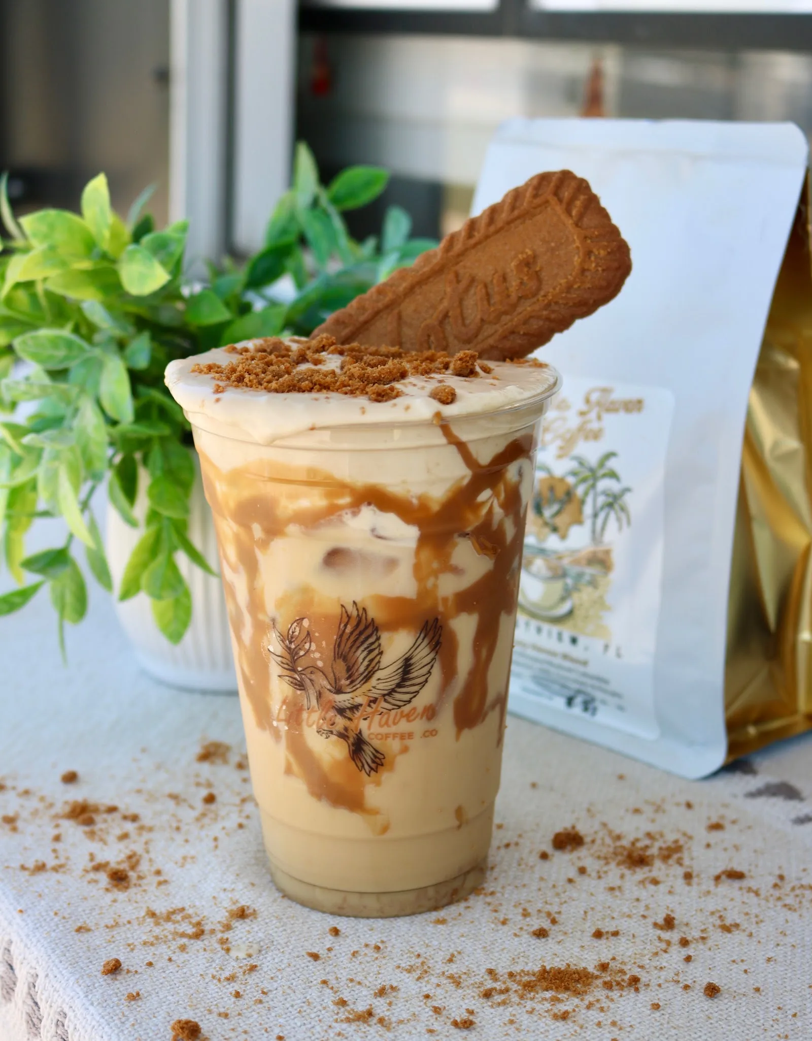 Little Haven Coffee