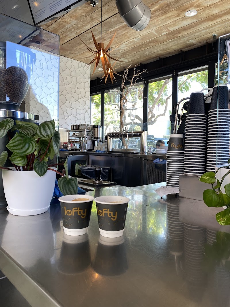 Lofty Coffee Little Italy Cafe and Bakery
