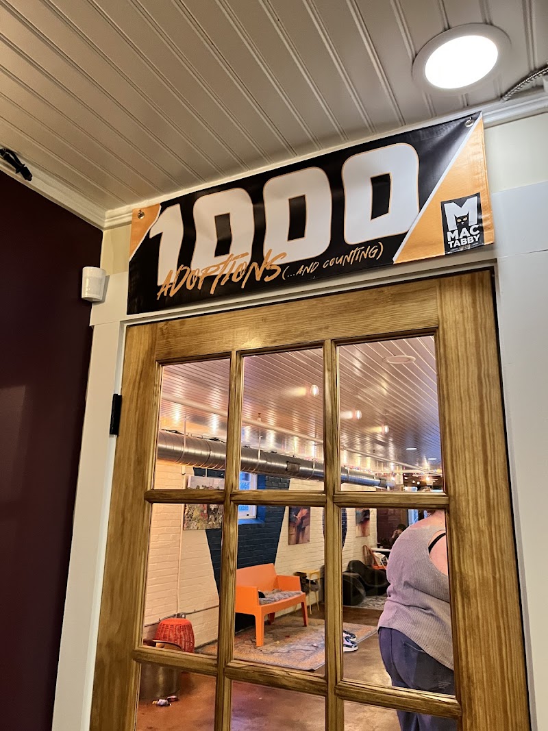 Mac Tabby Cat Cafe - Concord in Concord — specialty coffee cafe