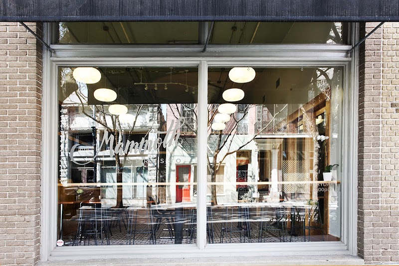 Mammoth Espresso in New Orleans — specialty coffee cafe