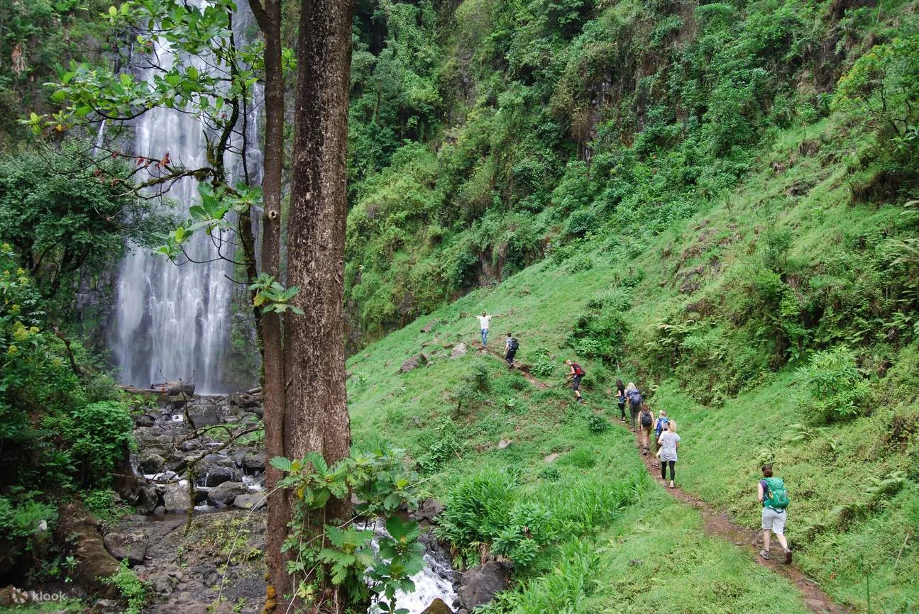 hikers ascending lush green mountainside with waterfall and forest canopy., materuni waterfalls and coffee tour, moshi