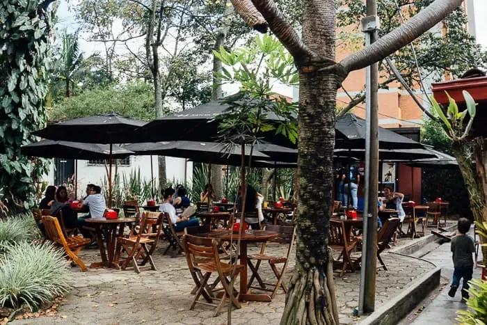outdoor courtyard café with wooden chairs, black umbrellas, and large trees., medallo coffee - museum and shop, medellín