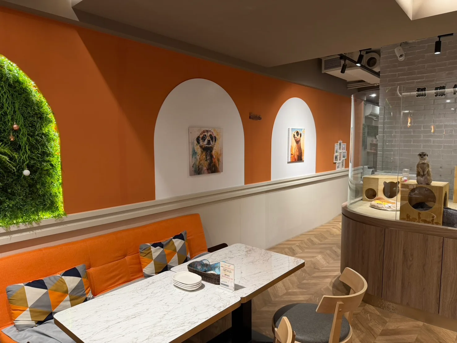 meerkat75 café, character cafe in taipei