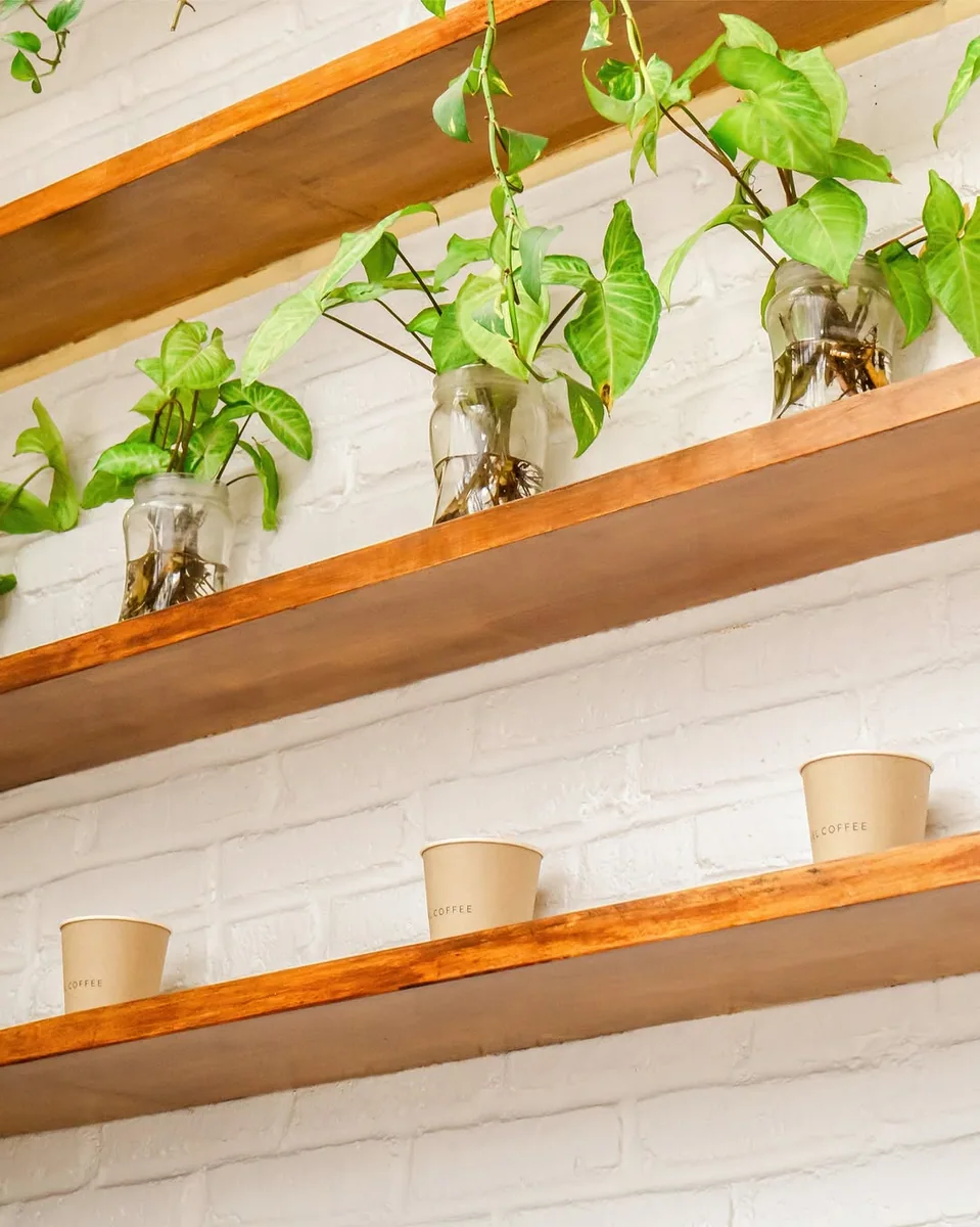 MIEL SPECIALTY COFFEE CANGGU | CO-WORKING in Canggu — specialty coffee cafe