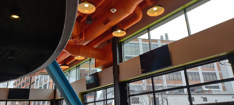 Mighty Squirrel Brewing Co. in Boston, specialty coffee cafe