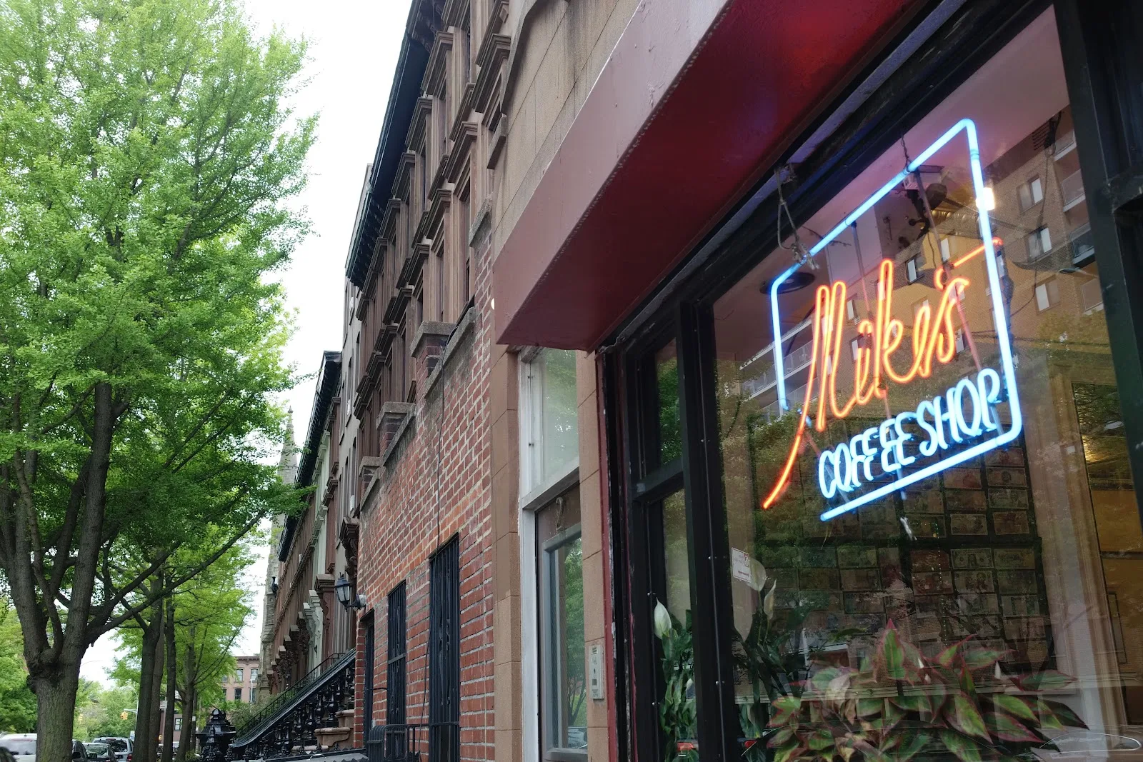 Mike's Coffee Shop in New York City, specialty coffee cafe