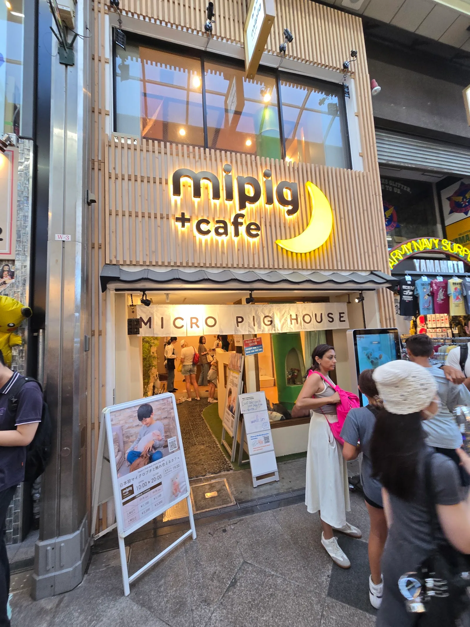 mipig cafe Kyoto, Kyoto