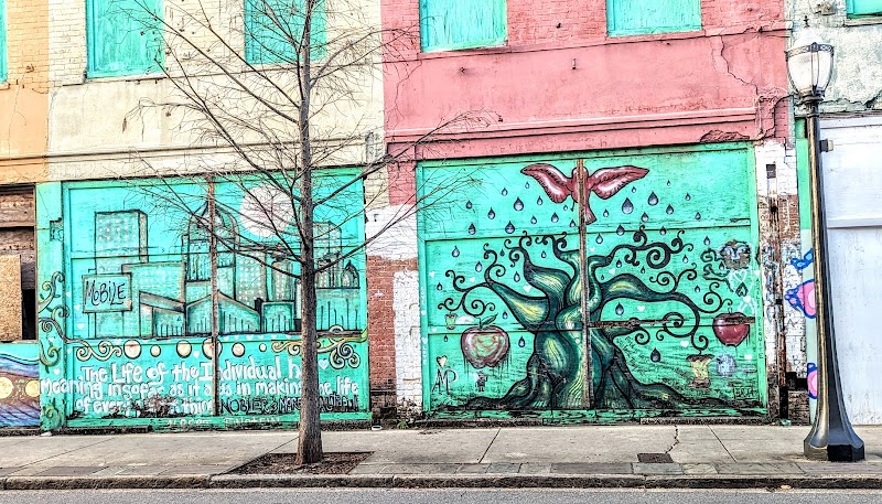 Mo' Bay Beignet Co. in Mobile — specialty coffee cafe