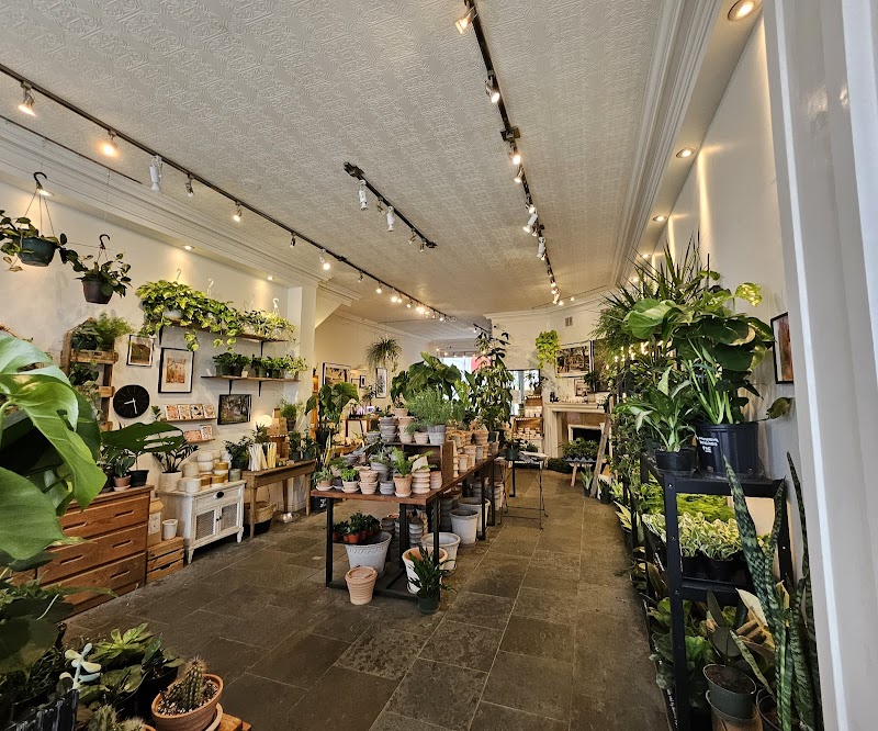 Moss Park Espresso