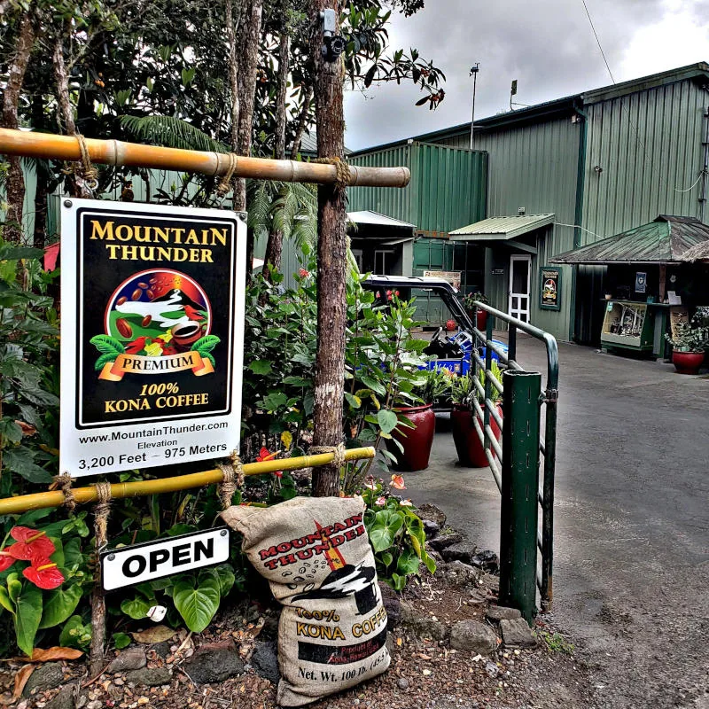 Mountain Thunder Coffee Plantation