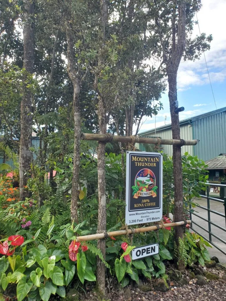 mountain thunder coffee farm sign with tropical flowers and tall trees., mountain thunder coffee plantation, hawaii