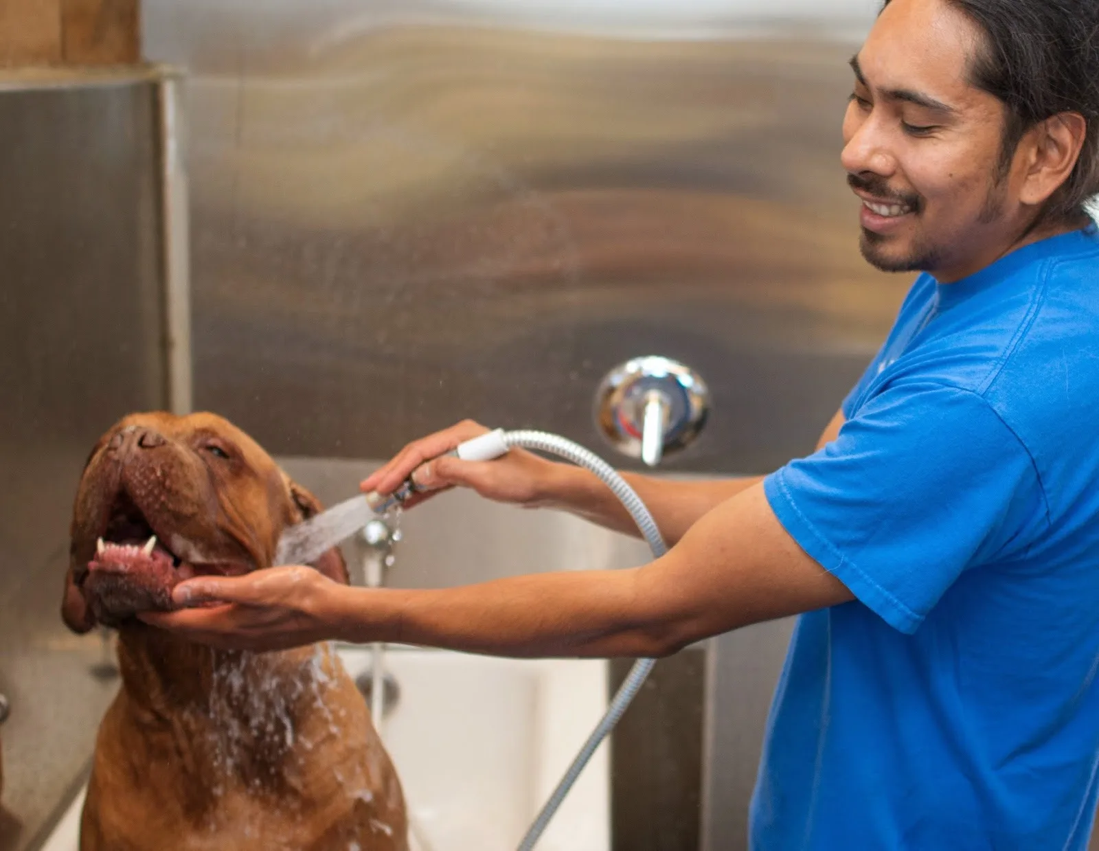 Mudpuppy's at Point Isabel Dog Park in San Francisco, specialty coffee cafe