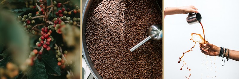 Muldoon's Craft Coffee Roasters