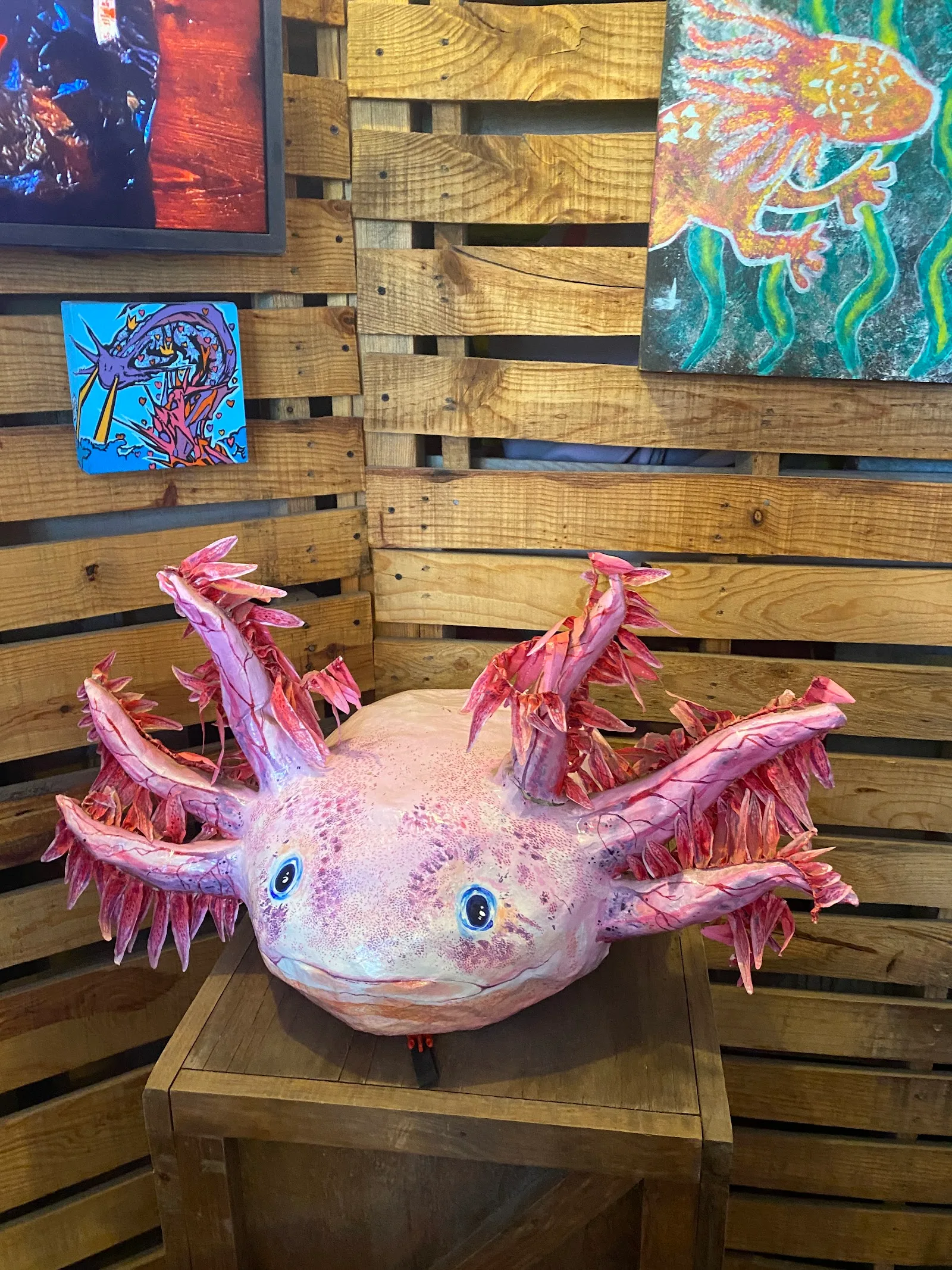 museo del axolote, axolotl cafe in mexico city