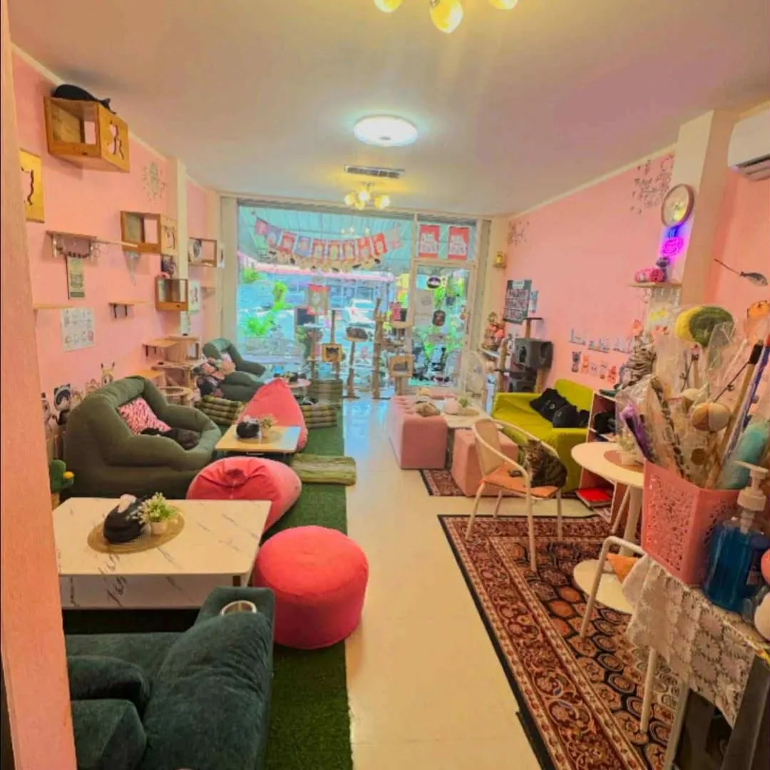 Neko Cat Cafe (via instagram)