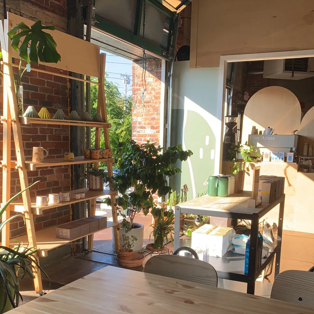 Nibbāna Café in Boston, specialty coffee cafe