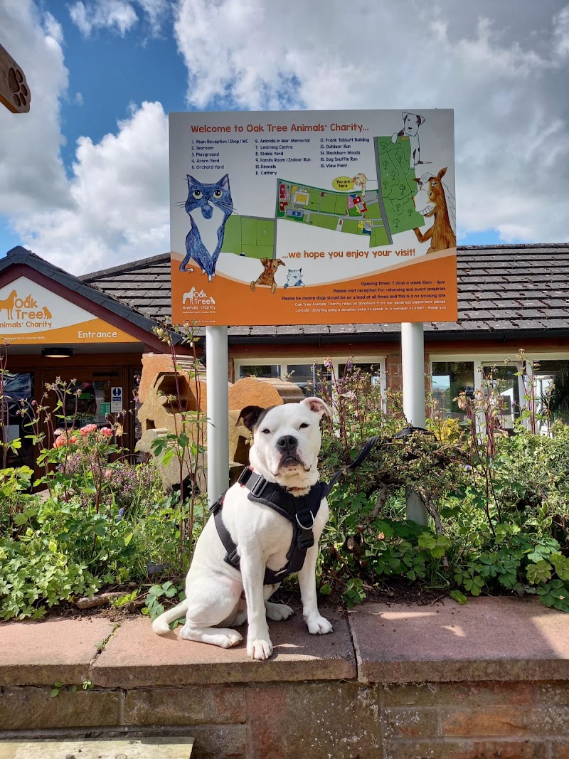 Oak Tree Animals' Charity in Wetheral — specialty coffee cafe
