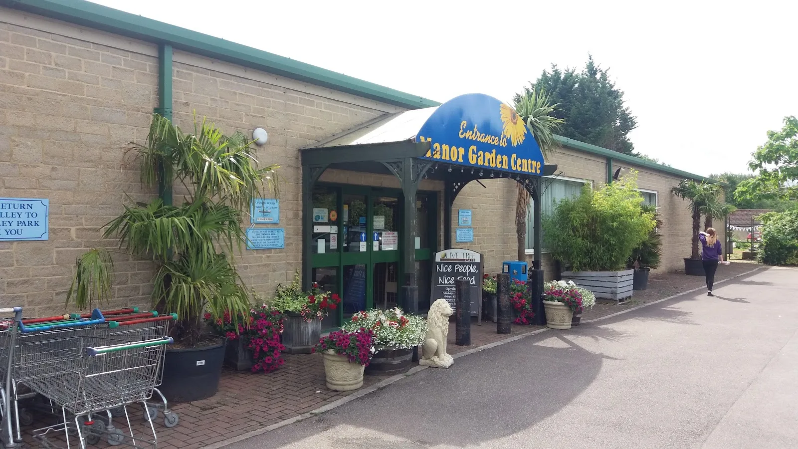 Olive Tree Cafe