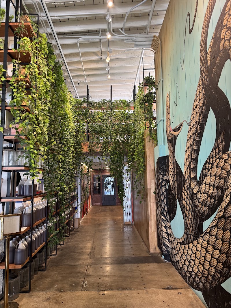 Onyx Coffee Lab - Rogers HQ