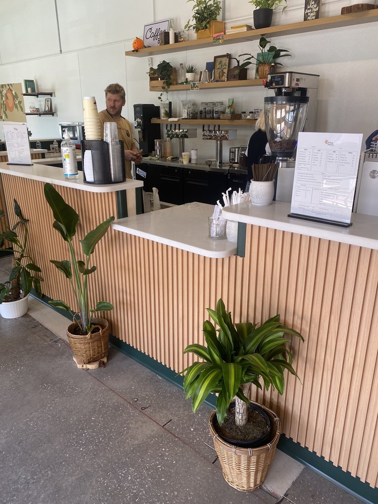 Orange Blossom Coffee in Sarasota — specialty coffee cafe