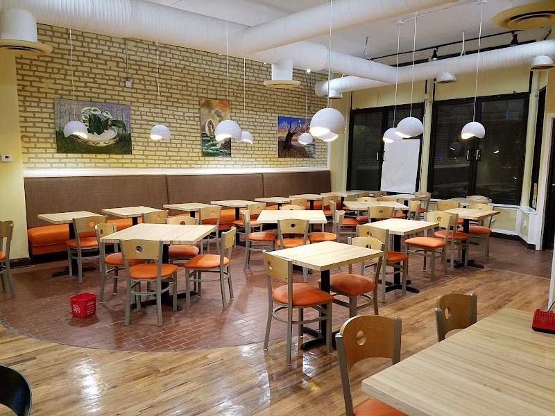 Ovo Frito Cafe in Chicago, specialty coffee cafe