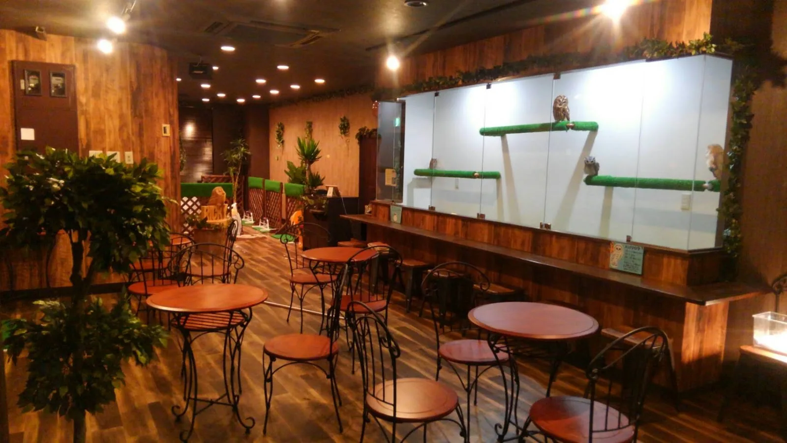Owl Cafe Ricky, Sendai