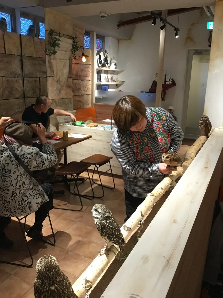 Owl Cafe Tenjin in Fukuoka, specialty coffee cafe
