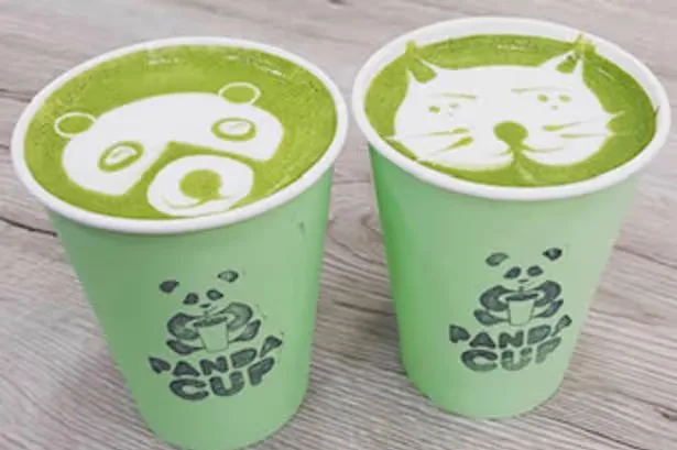 Panda Cup in London — specialty coffee cafe