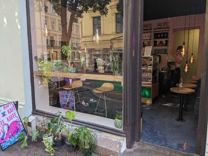 Papegøye in Oslo — specialty coffee cafe