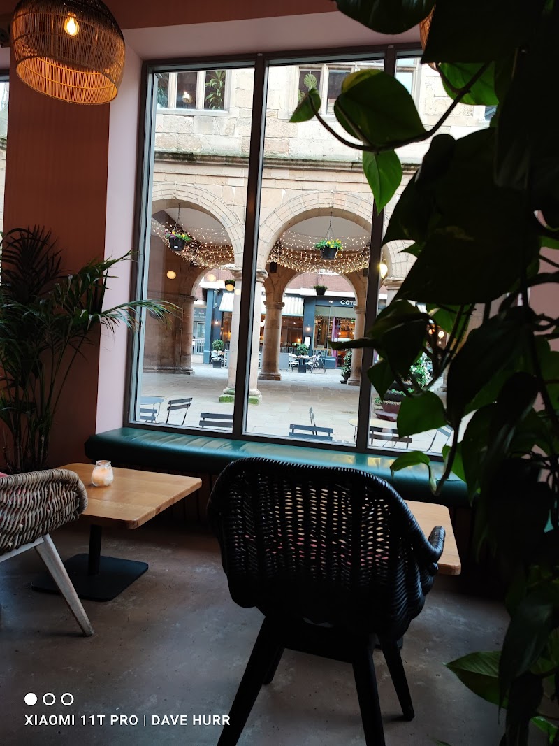 Paws Cafe in Shrewsbury — specialty coffee cafe