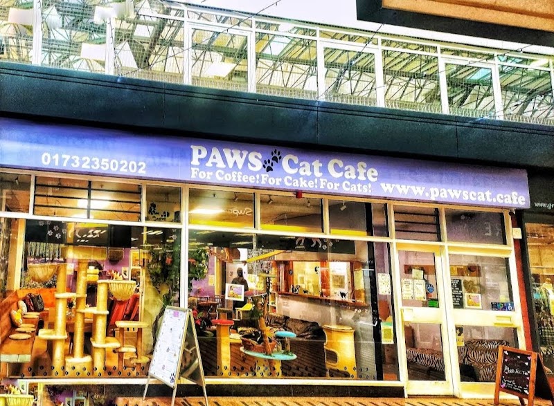Paws Cat Cafe in West Malling — specialty coffee cafe