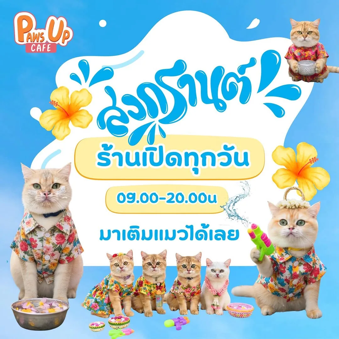 PawsUpCafe พาวส์อัพคาเฟ่ คาเฟ่แมวใกล้ฉัน Specialty COFFEE อาหารนานาชาติฮาลาล เจลาโต้โฮมเมด มัจฉะญี่ปุ่น เบเกอรี่แสนอร่อย in Bangkok — specialty coffee cafe