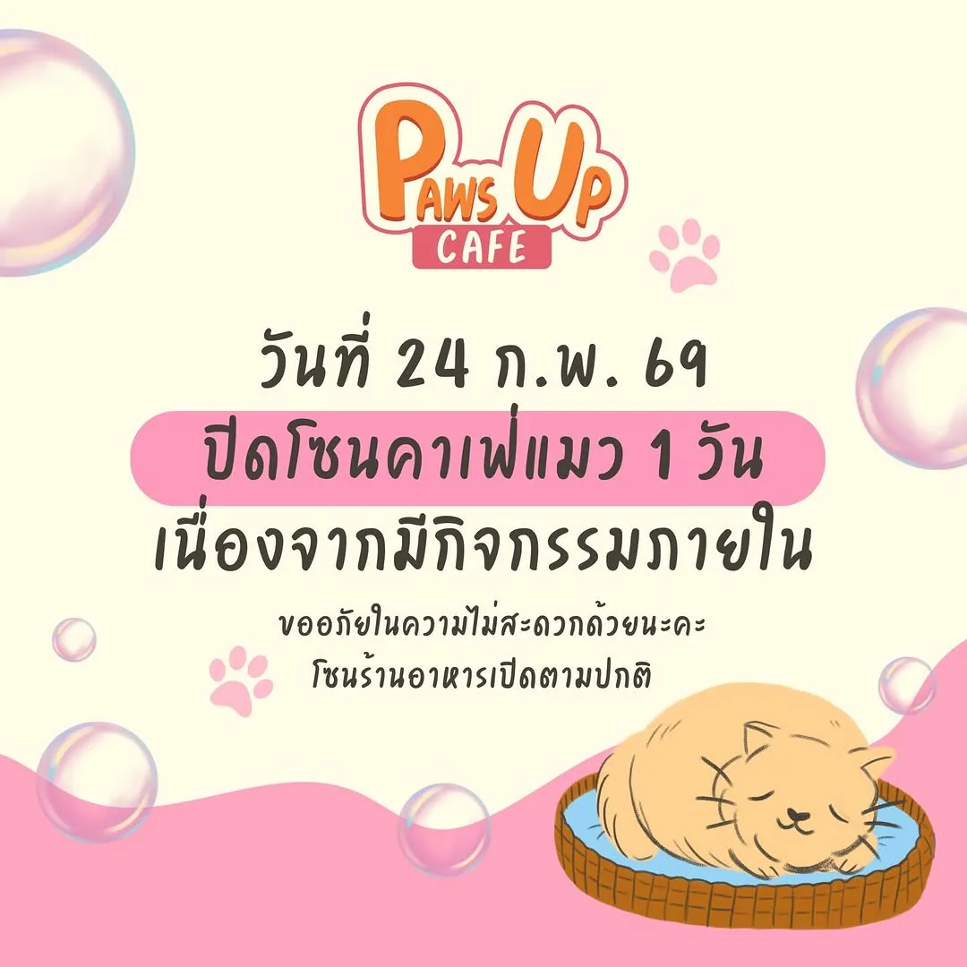 PawsUpCafe พาวส์อัพคาเฟ่ คาเฟ่แมวใกล้ฉัน Specialty COFFEE อาหารนานาชาติฮาลาล เจลาโต้โฮมเมด มัจฉะญี่ปุ่น เบเกอรี่แสนอร่อย (via instagram)