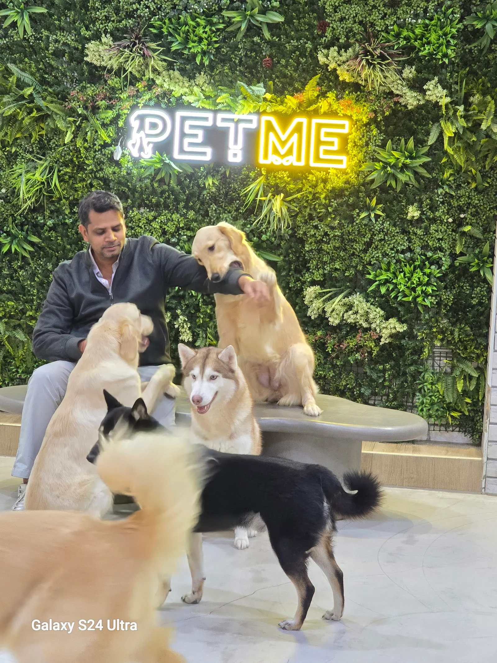 petme, dog cafe in dubai