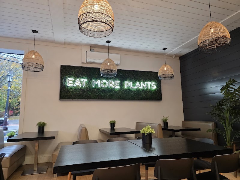 Plant City in Providence — specialty coffee cafe