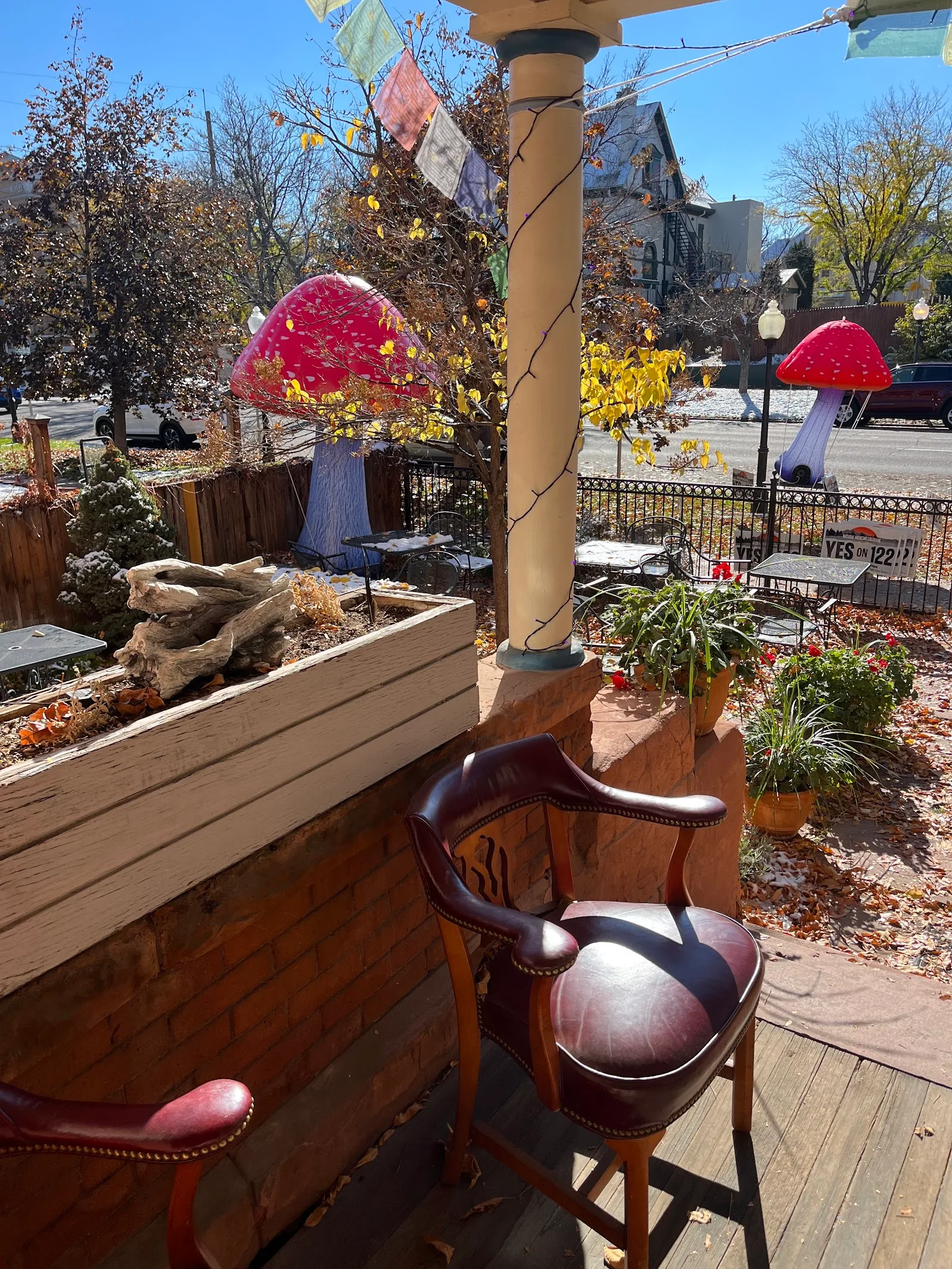 Plant Magic Cafe in Denver, specialty coffee cafe