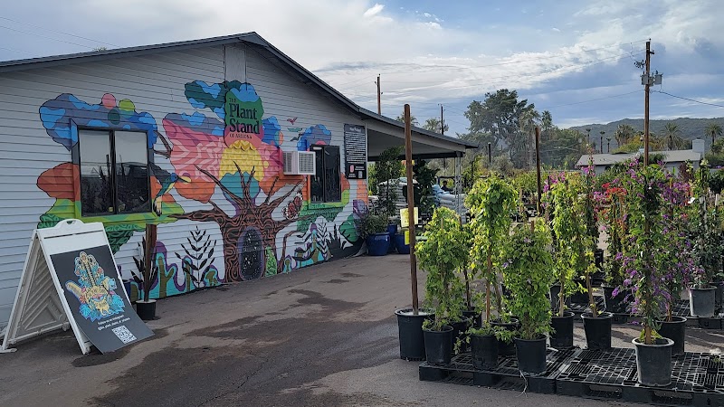 Plant Stand of Arizona in Phoenix, specialty coffee cafe